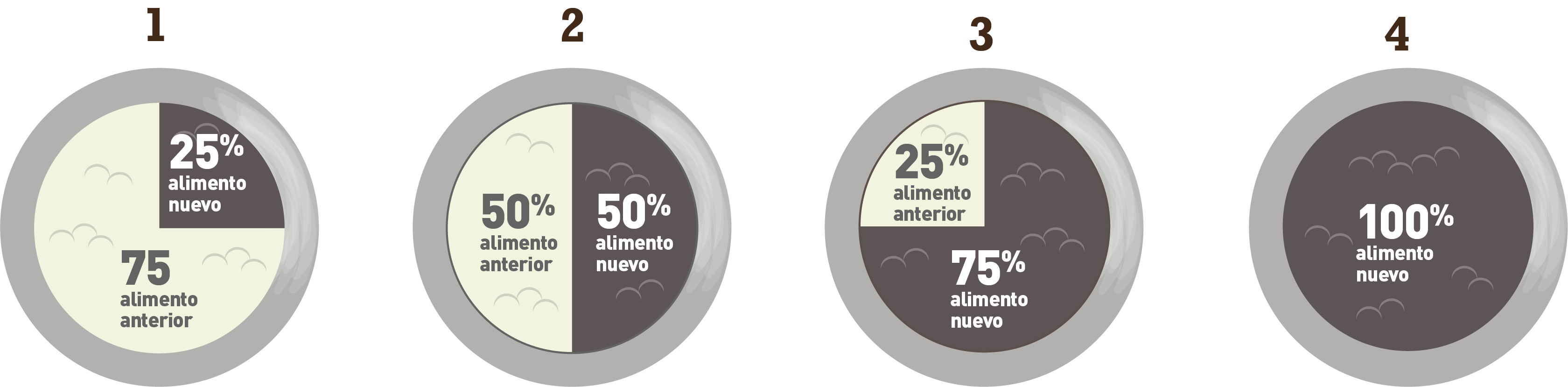 Dieta de transición